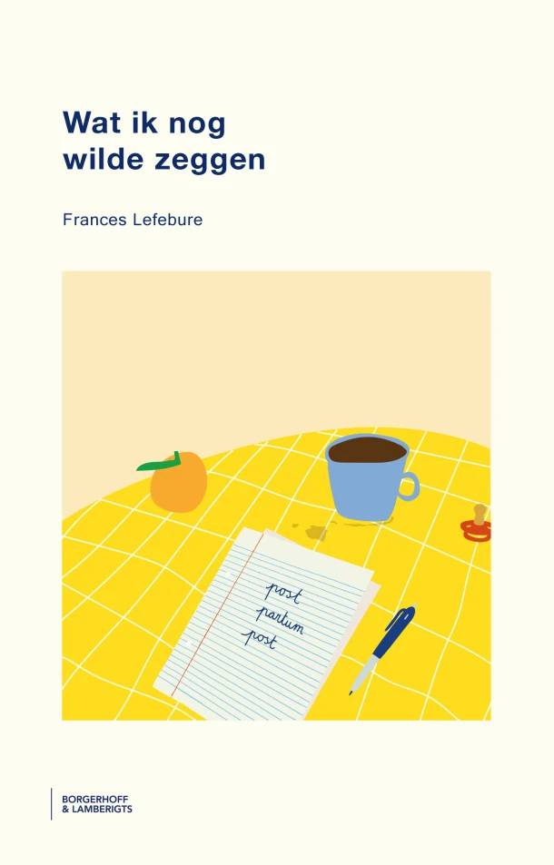 Wat ik nog wilde zeggen – Frances Lefebure – boek cover