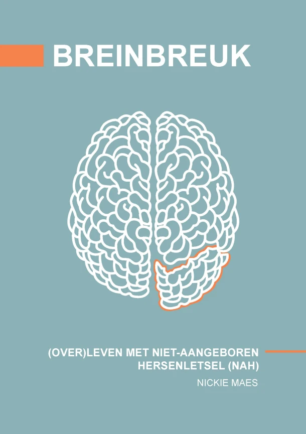 Breinbreuk – Nickie Maes – boek cover