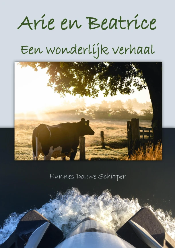 Arie en Beatrice – Hannes Douwe Schipper – boek cover