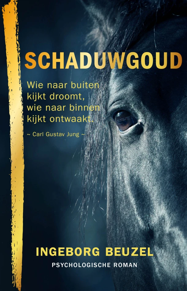 Schaduwgoud – Ingeborg Beuzel – boek cover