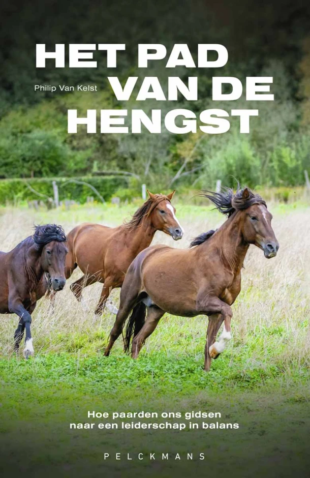 Het pad van de hengst – Philip Van Kelst – boek cover