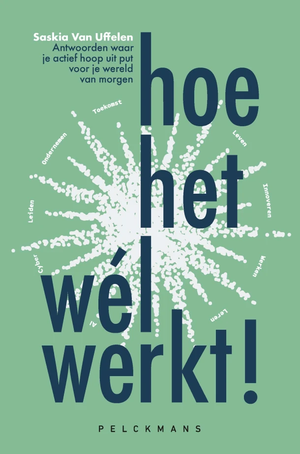 Hoe het wél werkt! – Saskia Van Uffelen – boek cover