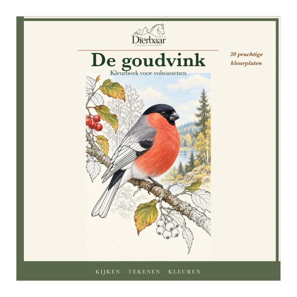 De goudvink – Roeland Lamme – boek cover