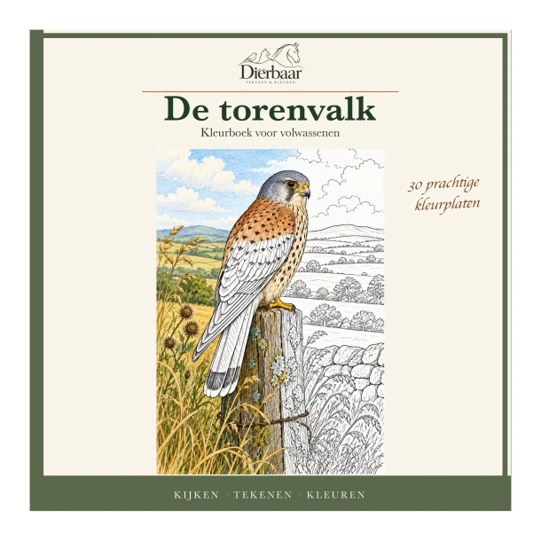 De torenvalk – Roeland Lamme – boek cover