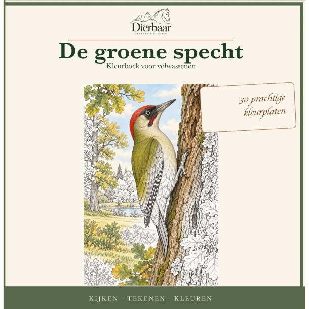 De groene specht – Roeland Lamme – boek cover