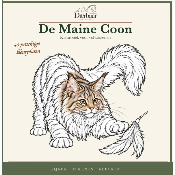 Maine Coon – Roeland Lamme – boek cover