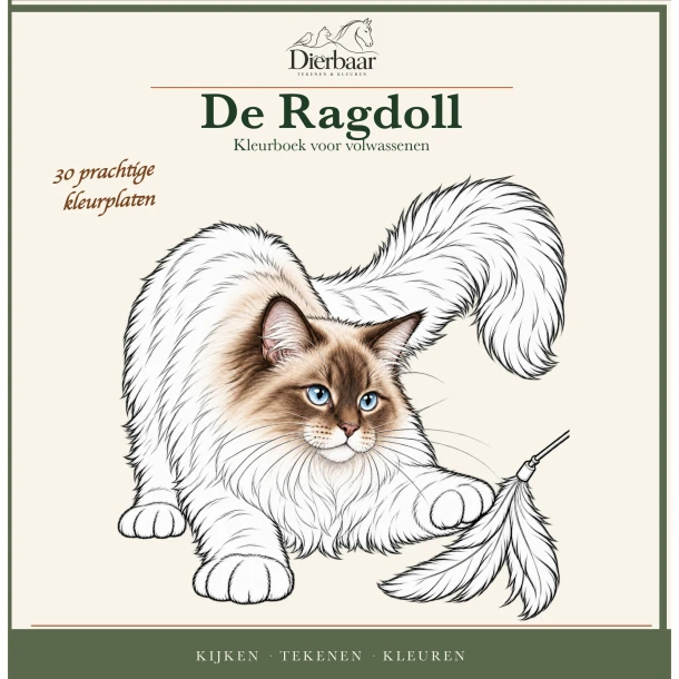 Ragdoll – Roeland Lamme – boek cover