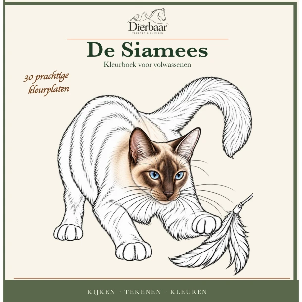 Siamees – Roeland Lamme – boek cover