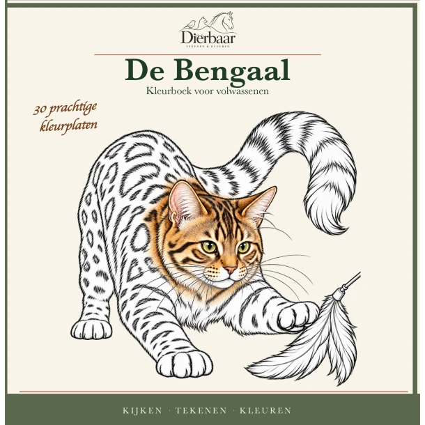 Bengaal – Roeland Lamme – boek cover