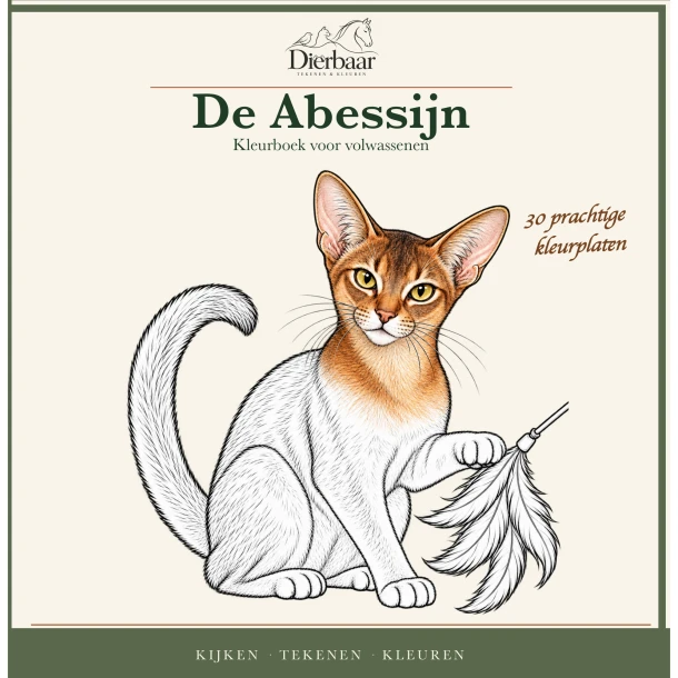 Abessijn – Roeland Lamme – boek cover
