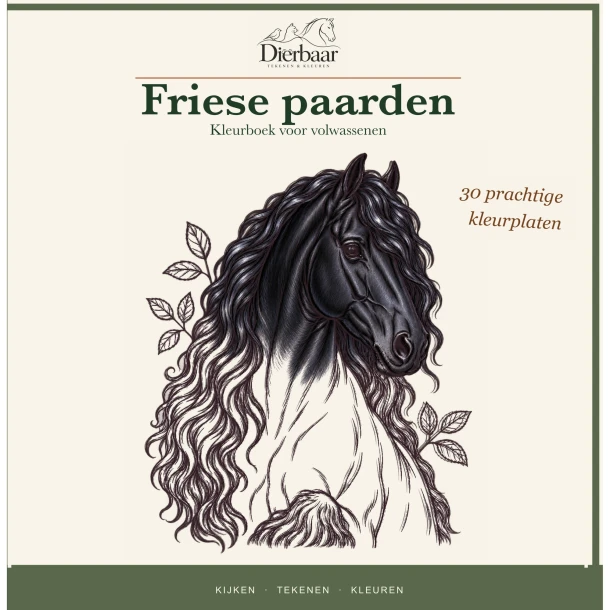 Friese paarden – Roeland Lamme – boek cover
