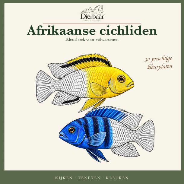 Betta¿s – Roeland Lamme – boek cover