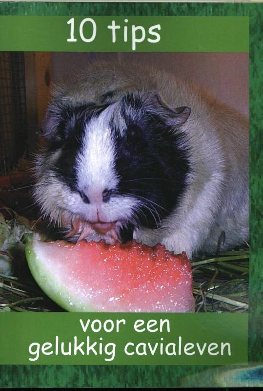 10 tips voor een gelukkig cavialeven – boek cover