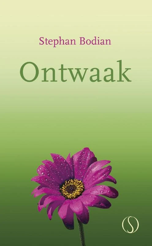 Ontwaak! – Stephan Bodian – boek cover