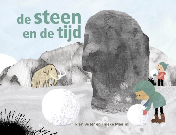 De steen en de tijd – Rian Visser – boek cover