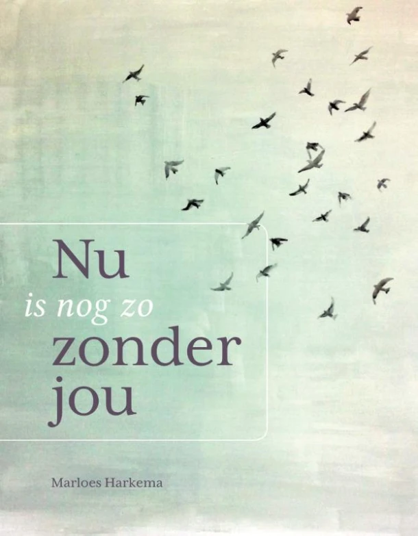 Nu is nog zo zonder jou – Marloes Harkema – boek cover