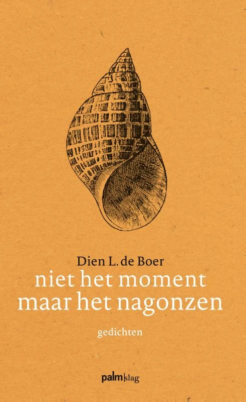 Niet het moment maar het nagonzen – Dien L. de Boer – boek cover