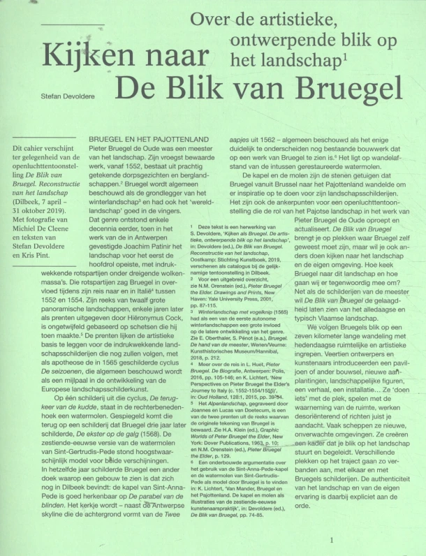 Kijken naar de Blik van Bruegel – Stefan Devoldere – boek cover