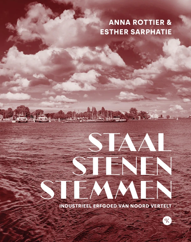 Staal stenen stemmen – Anna Rottier – boek cover