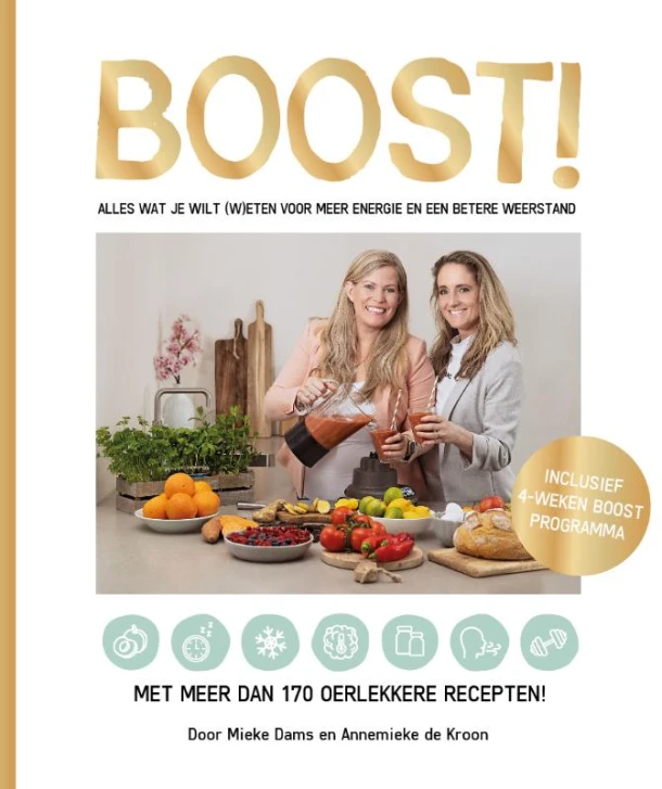 Boost! – Annemieke de Kroon – boek cover