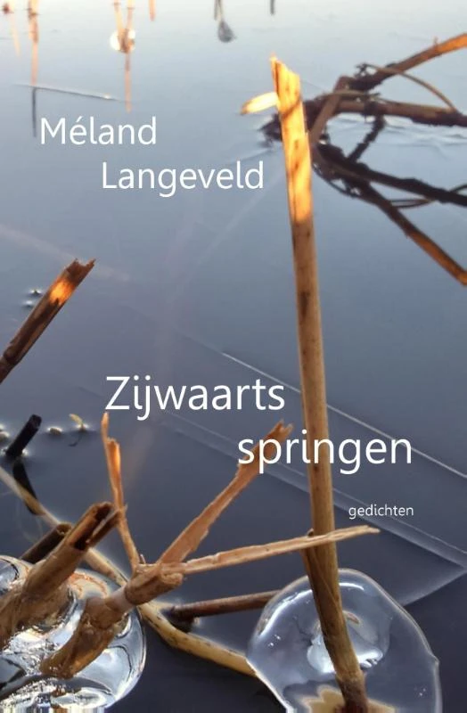 Zijwaarts springen – Méland Langeveld – boek cover