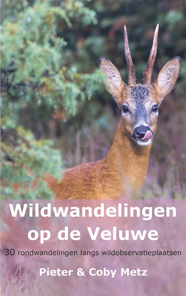 Wildwandelingen op de Veluwe – Pieter Metz – boek cover