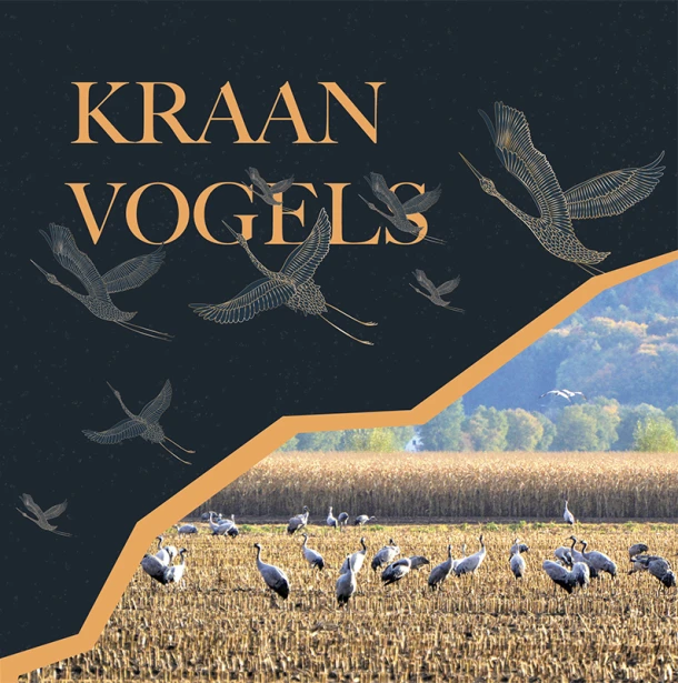 Kraanvogels – Ingrid Visser – boek cover