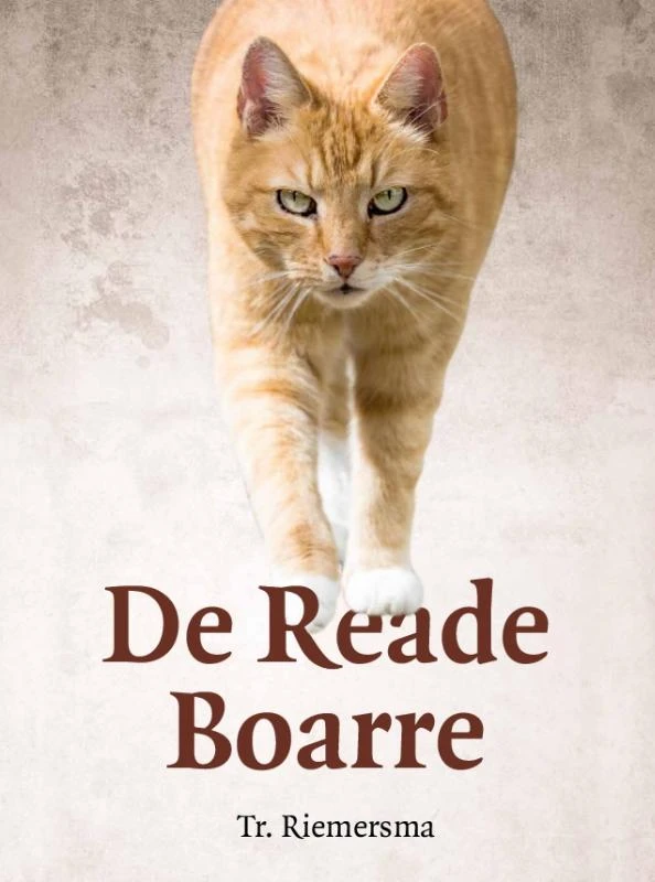 De Reade Boarre – Trinus Riemersma – boek cover