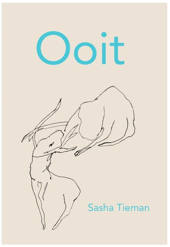 Ooit – Sasha Tieman – boek cover