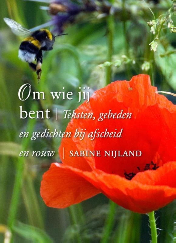 Om wie jij bent – Sabine Nijland – boek cover