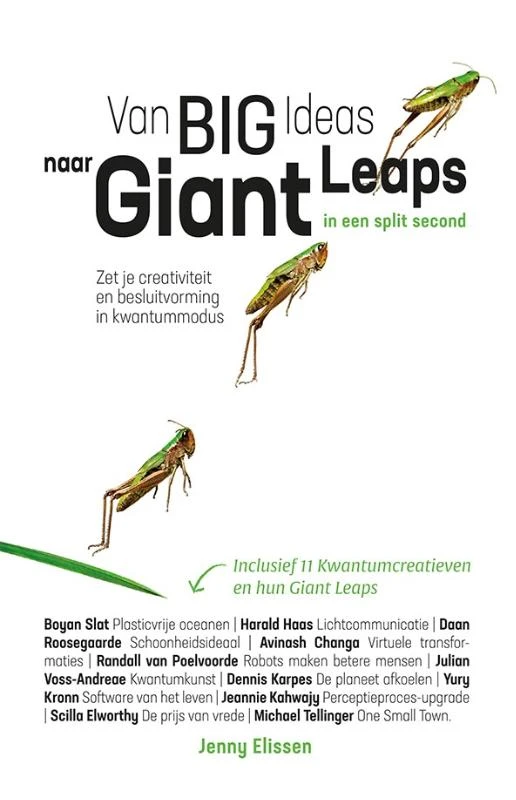 Van Big Ideas naar Giant Leaps. In een split second. – Jenny Elissen – boek cover