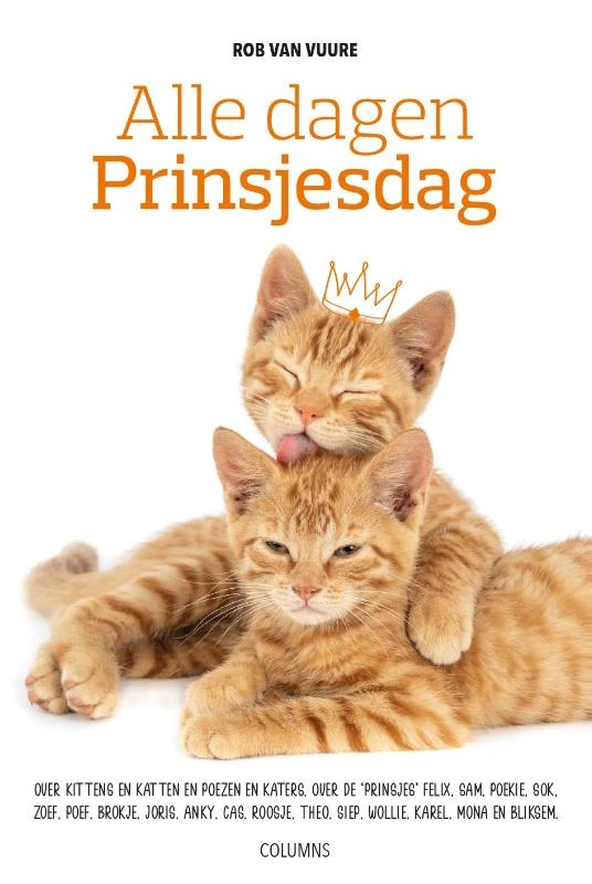 Alle dagen prinsjesdag – Rob van Vuure – boek cover