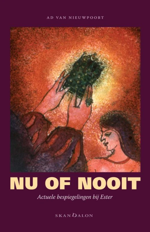Nu of nooit – Ad van Nieuwpoort – boek cover