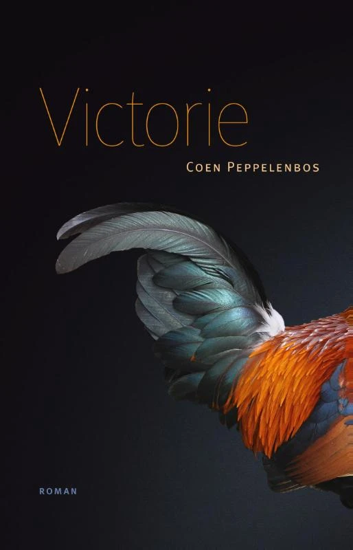 Victorie – Coen Peppelenbos – boek cover