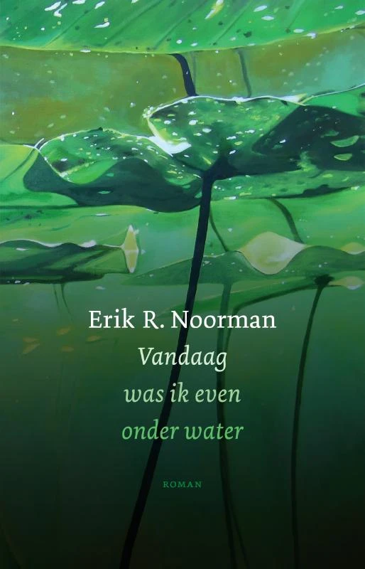 Vandaag was ik even onder water – Erik R. Noorman – boek cover
