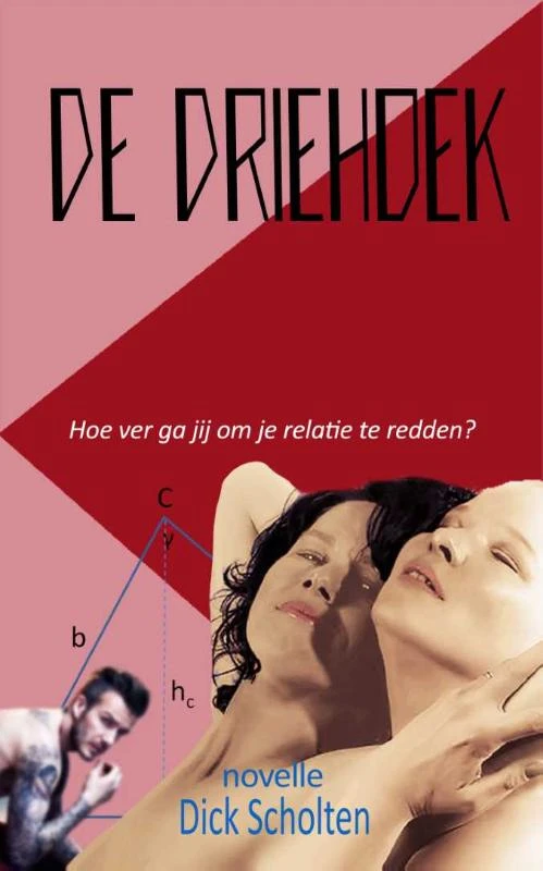 De Driehoek – Dick Scholten – boek cover