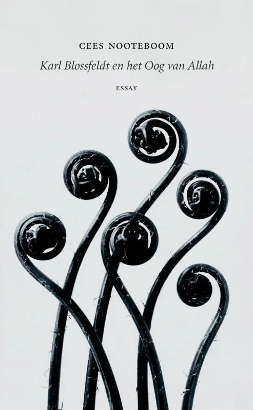 Karl Blossfeldt en het Oog van Allah – Cees Nooteboom – boek cover