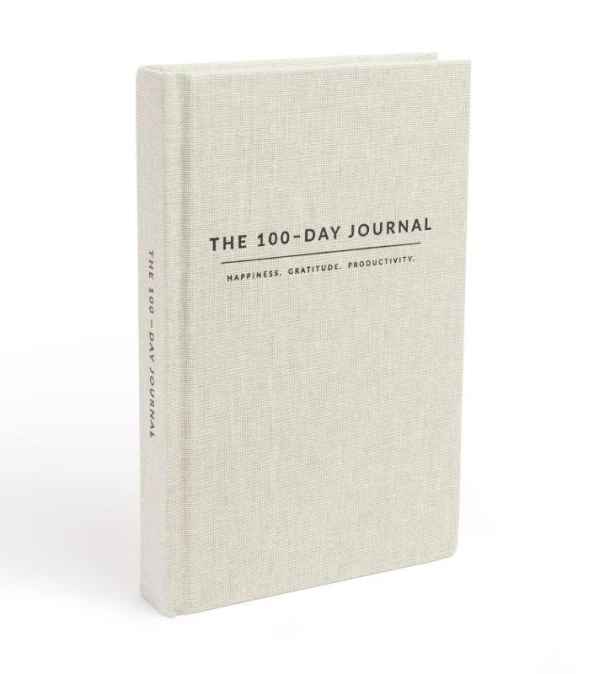 The 100 day journal – Anne-Sophie Gaspersz – boek cover