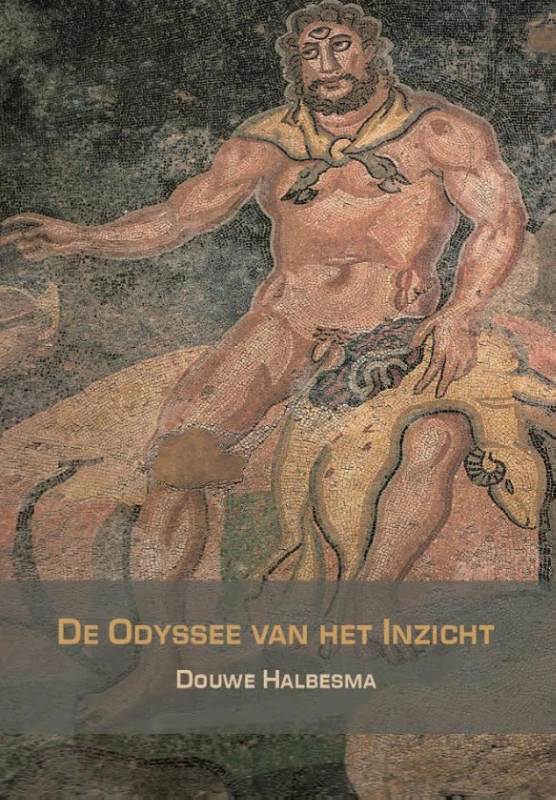 De Odyssee van het inzicht – Douwe Halbesma – boek cover