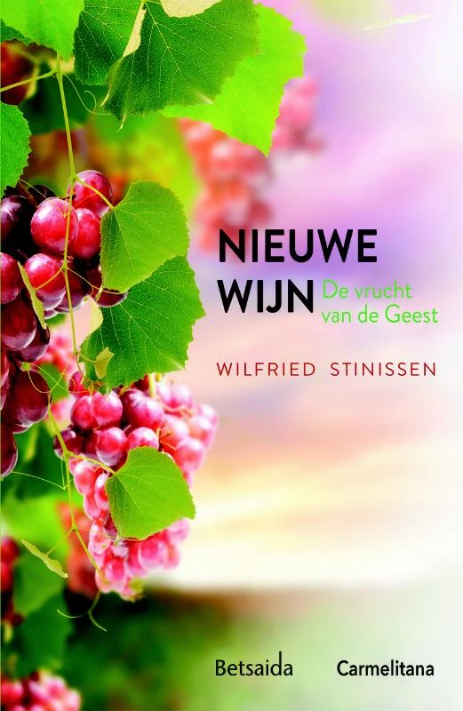 Nieuwe wijn – Wilfried Stinissen – boek cover
