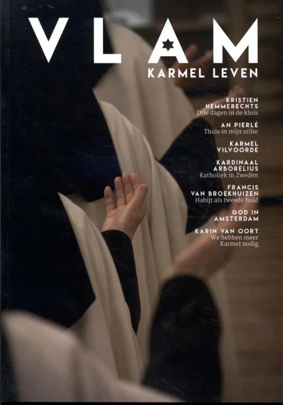 VLAM – Jan-Willem Wits – boek cover