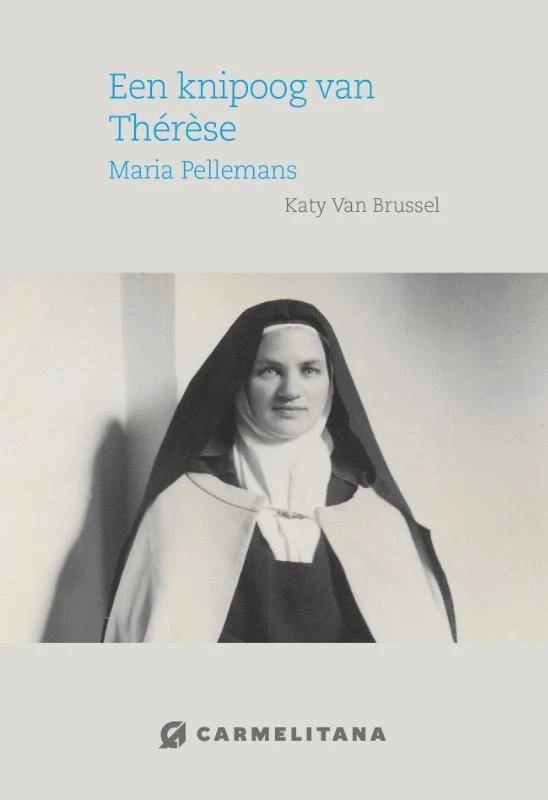 Een knipoog van Therese – Kathy Van Brussel – boek cover