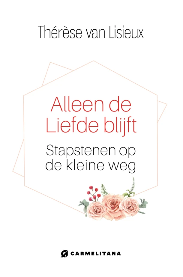 Alleen de liefde blijft – boek cover