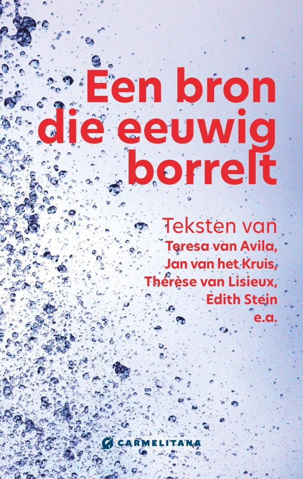 Een bron die eeuwig borrelt – Geert Schiettecatte – boek cover