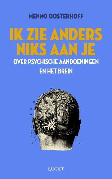 Ik zie anders niks aan je – Menno Oosterhoff – boek cover