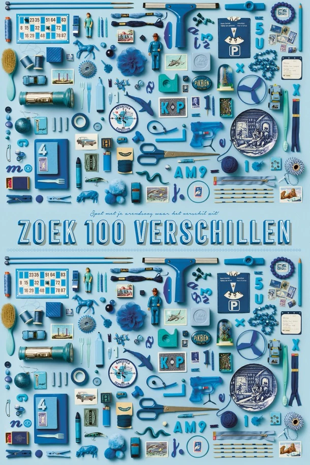 Stratier XL Spelposter - Zoek 100 verschillen (BLAUW) – Tom Suykens – boek cover