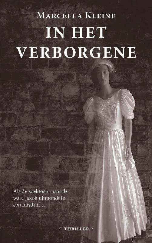 In het verborgene – Marcella Kleine – boek cover