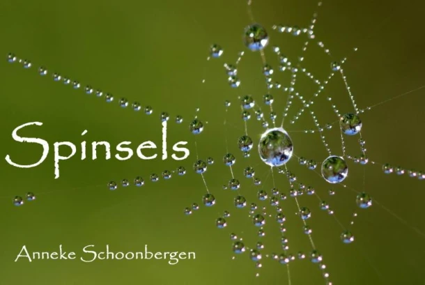 Spinsels – Anneke Schoonbergen – boek cover