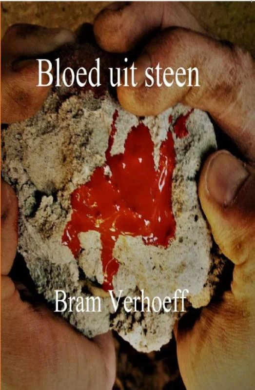 Bloed uit steen – Bram Verhoeff – boek cover