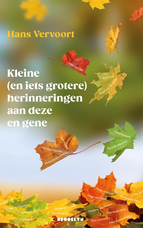 Kleine (en iets grotere) herinneringen aan deze en gene – Hans Vervoort – boek cover